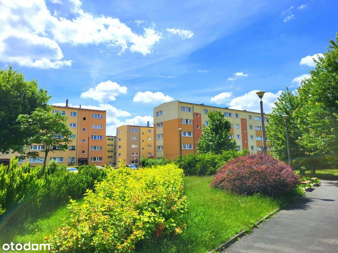 Mieszkanie z widokiem na park, wolne od zaraz