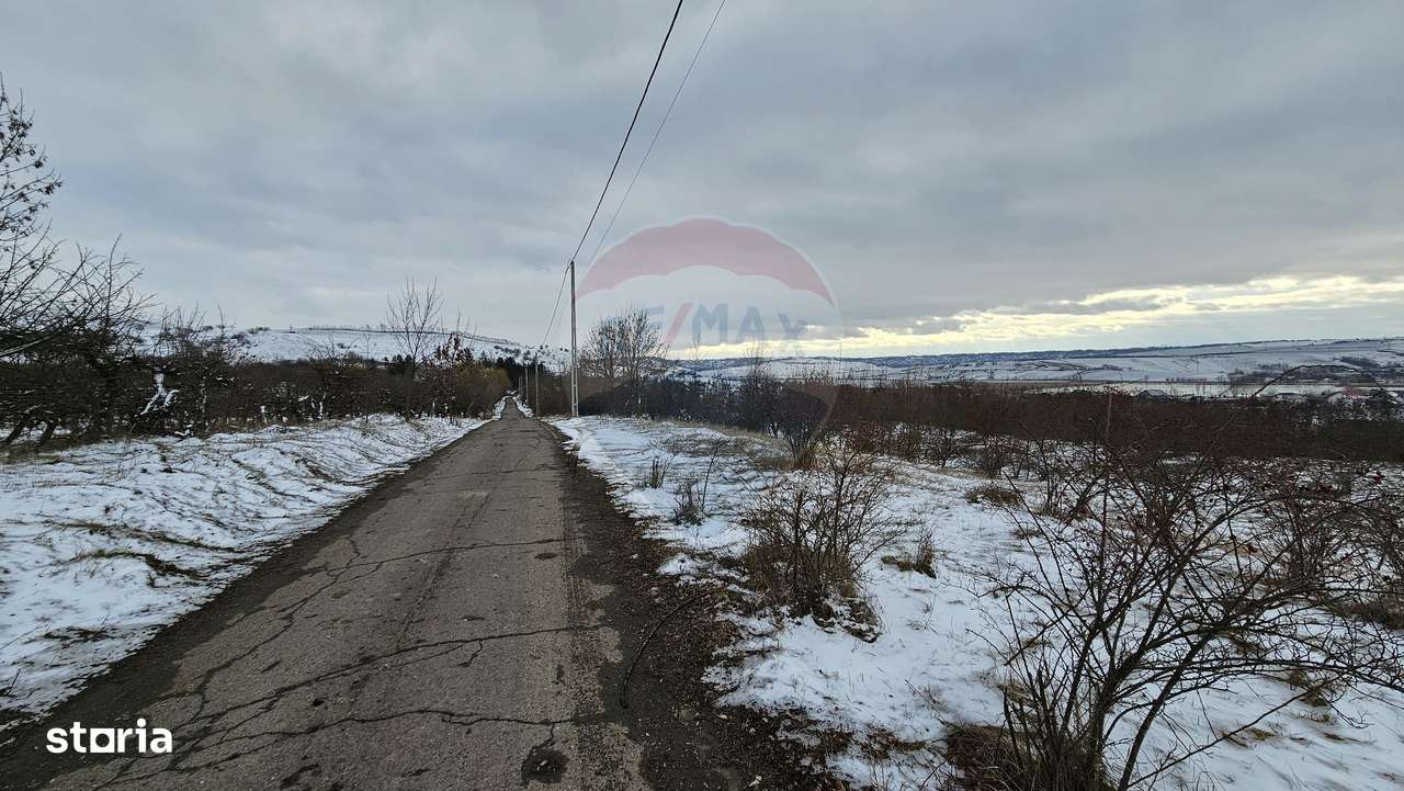 Teren 10,000mp Rădășeni / Șoseaua DN2-E85, județul Suceava - Imagine principală: 5/17