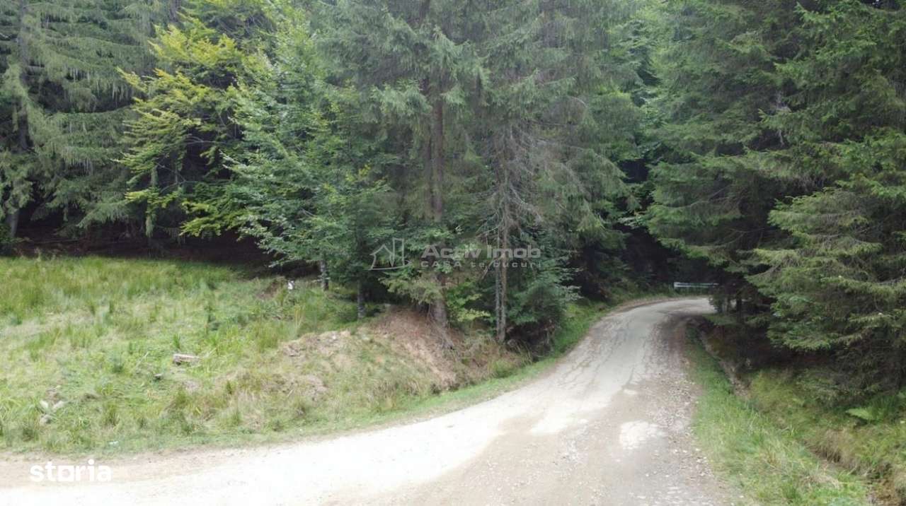 Teren 7 ha, Lac Vidraru, Podis Molivis-1