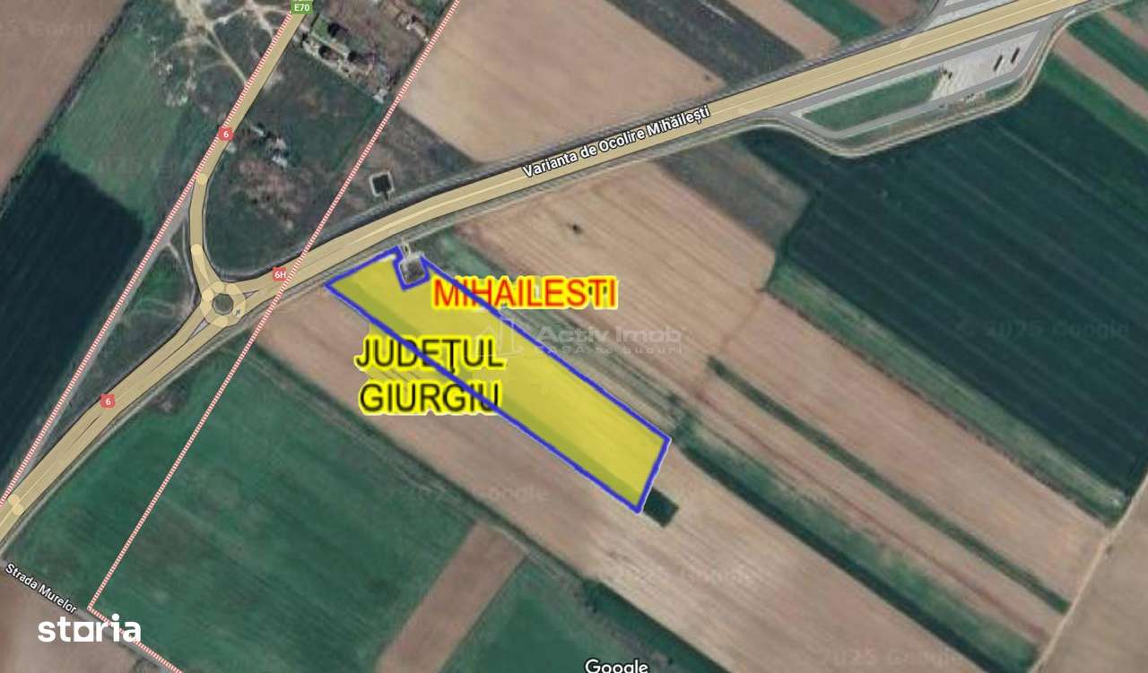 9 ha, Intravilan, Centura Mihailesti, Barter, Joint Venture sau Vanzar-2