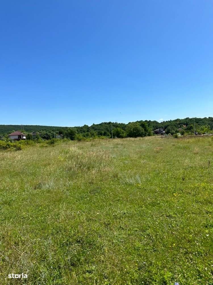 BANESTI - teren 2500 mp  parcelabil - 35 Euro/mp - Imagine principală: 3/3