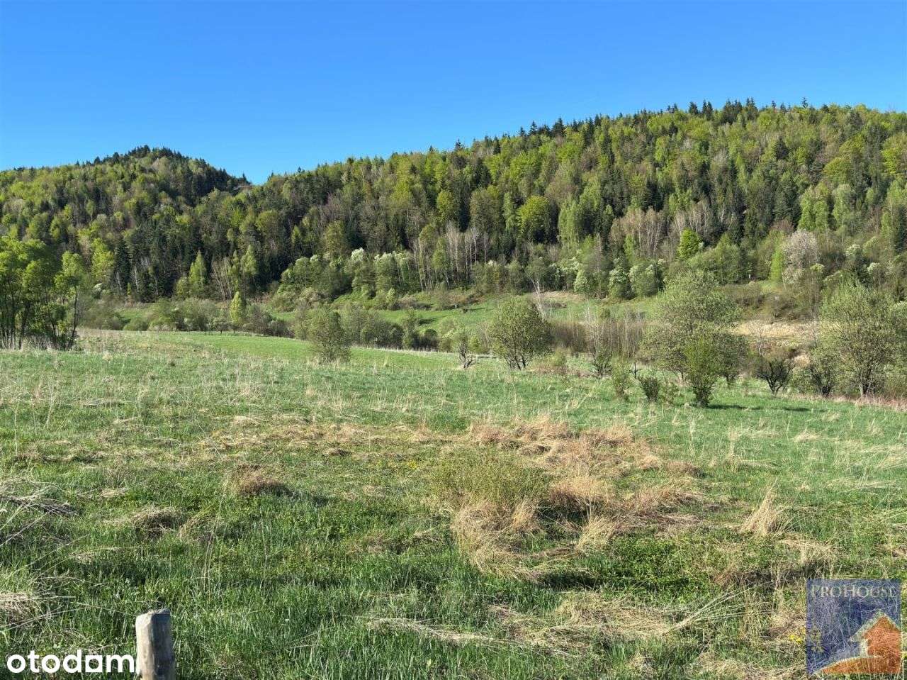 Działka, 2 000 m², Zbludza - Pełny obrazek: 4/9