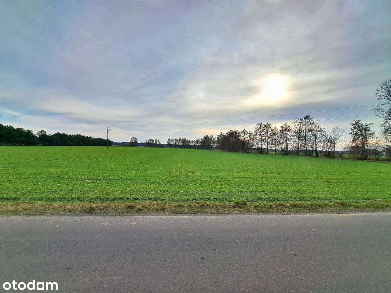 Świetna OFERTA! Działka przemysłowo-usługowa! - Pełny obrazek: 4/12