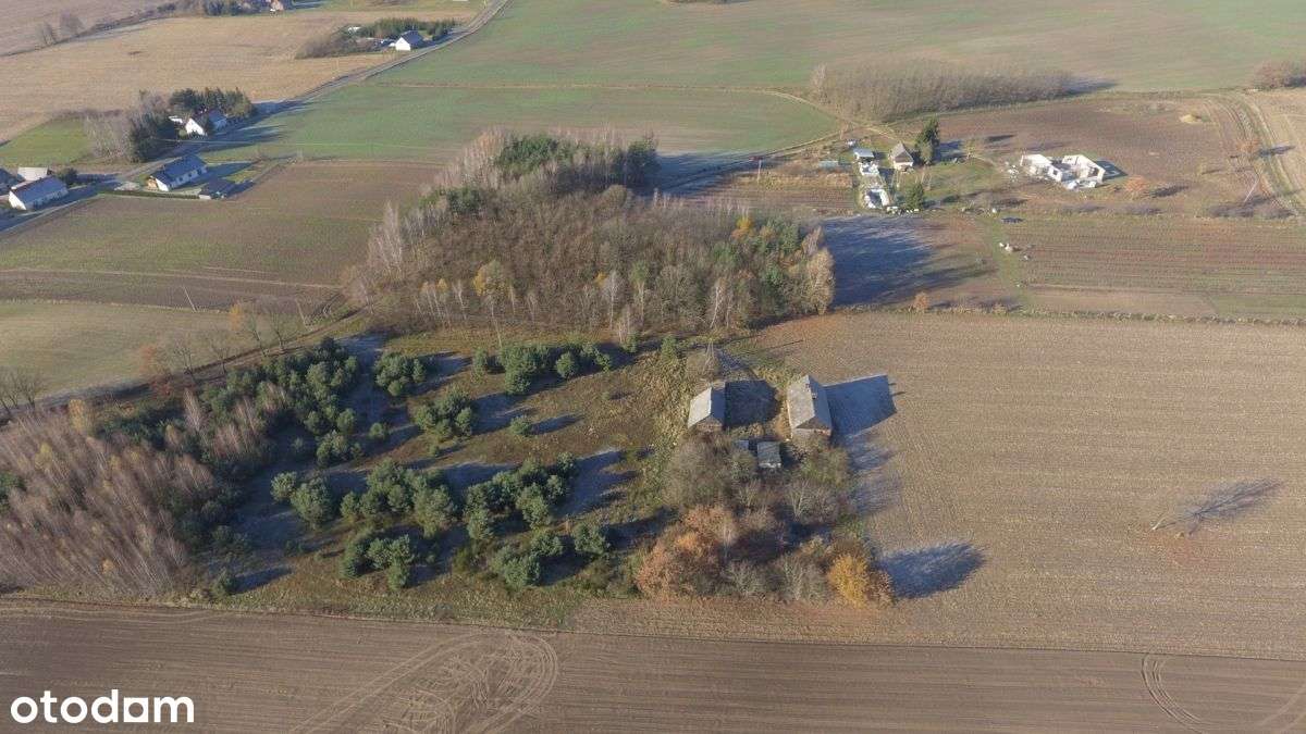 Siedlisko (3,07 ha) Lipka Wieka, gm. Lwówek - Pełny obrazek: 4/5