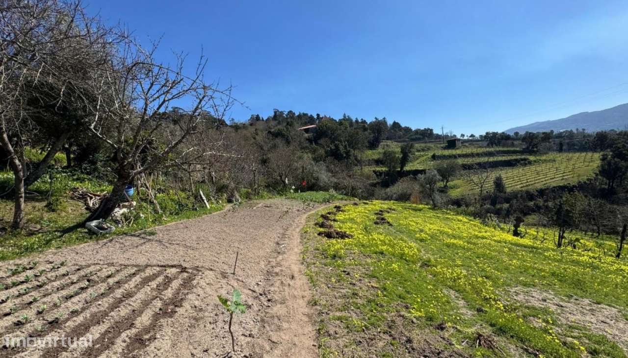 Venda Terreno, Sta. Cruz do Douro, Baião - Grande imagem: 5/29