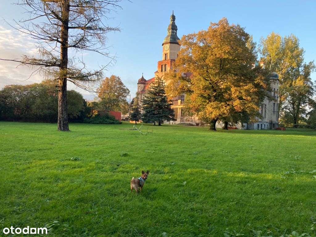 Działka Budowlana Pustków Żurawski - atrakcyjna CENA!-7