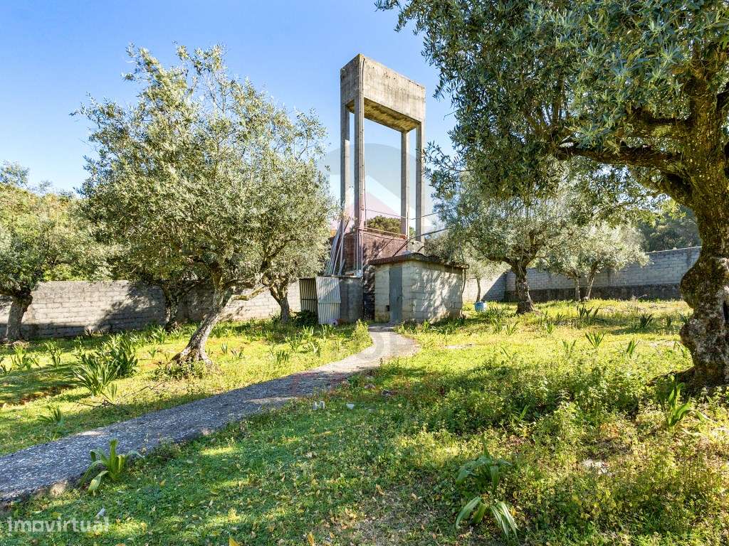 Terreno para construção em Minde, Alcanena - Grande imagem: 3/13