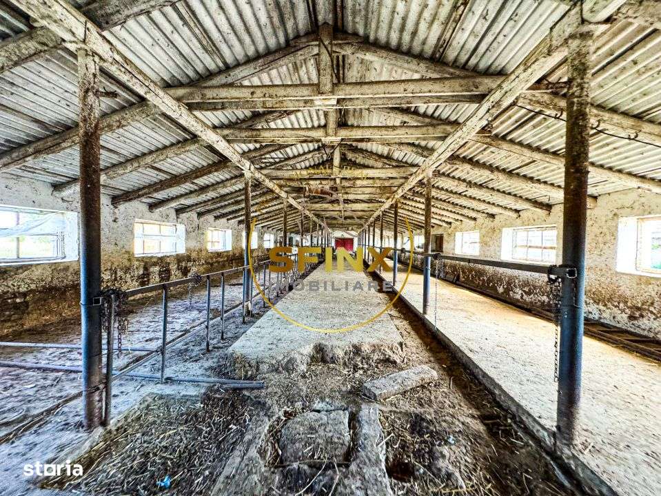 Teren intravilan cu potential de investitie 62000mp - Imagine principală: 2/15