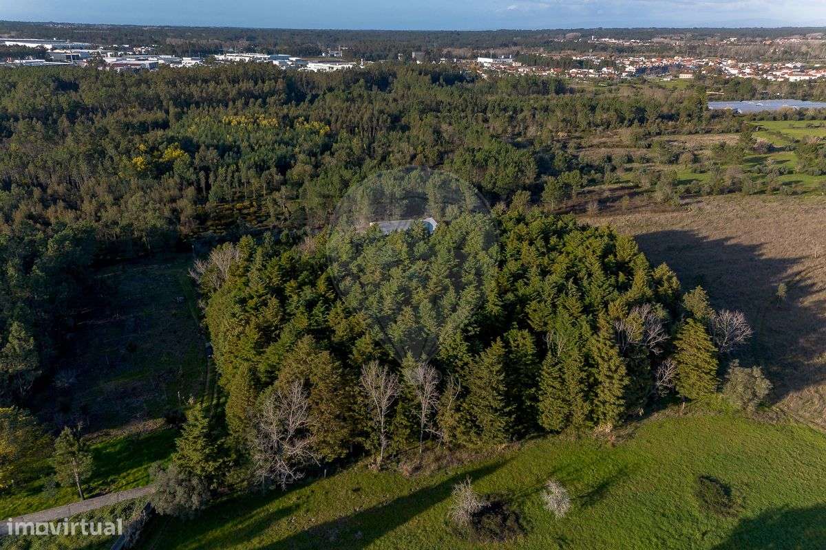 Terreno  para venda - Grande imagem: 4/13