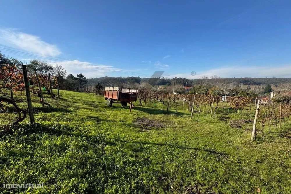 Terreno Urbano em Vil de Matos, Coimbra – Um Investimento com Potencia - Grande imagem: 2/13