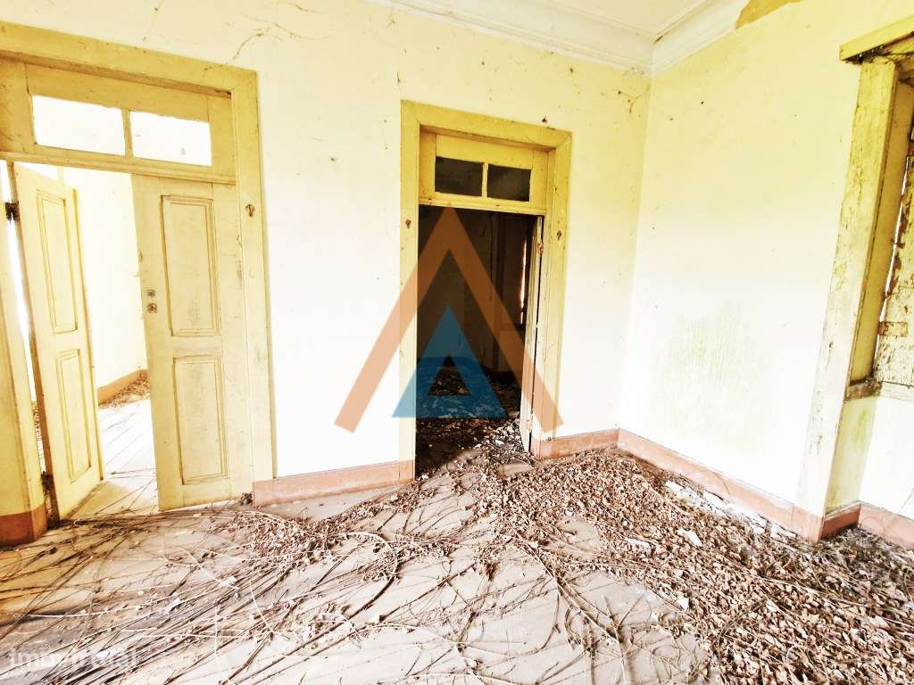 Maravilhosa quinta com casa e terreno-11