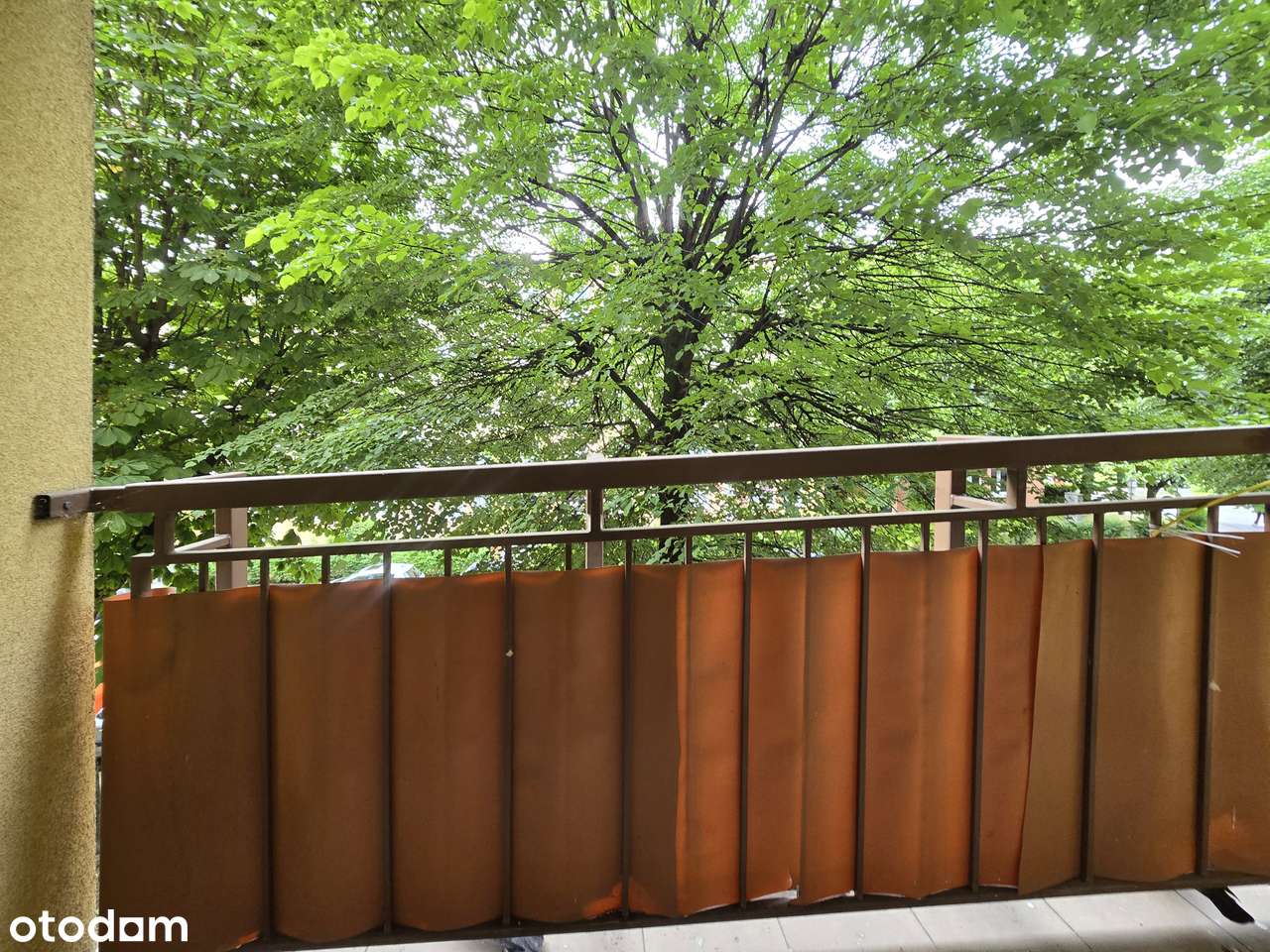 Top lokalizacja, 2 pokoje z balkonem, blok, 1 piętro, bez prowizji-7