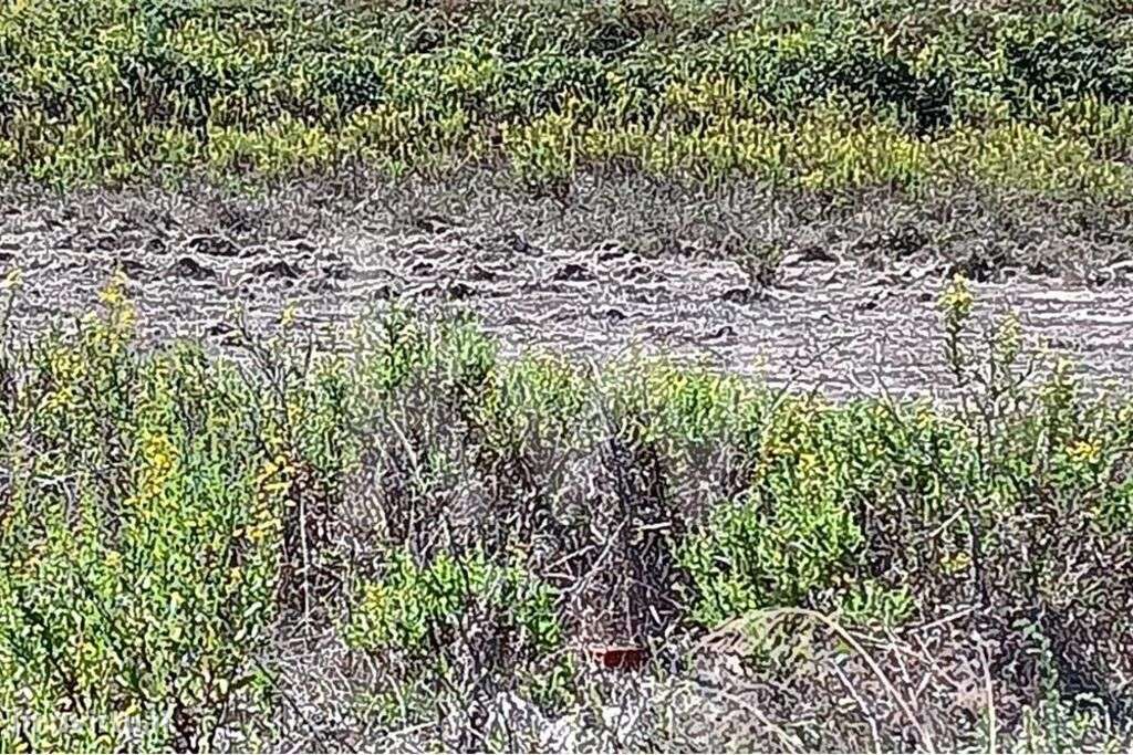 Venda de terreno urbano para construção com 26.000m2, em Ameal, Torres - Grande imagem: 4/21