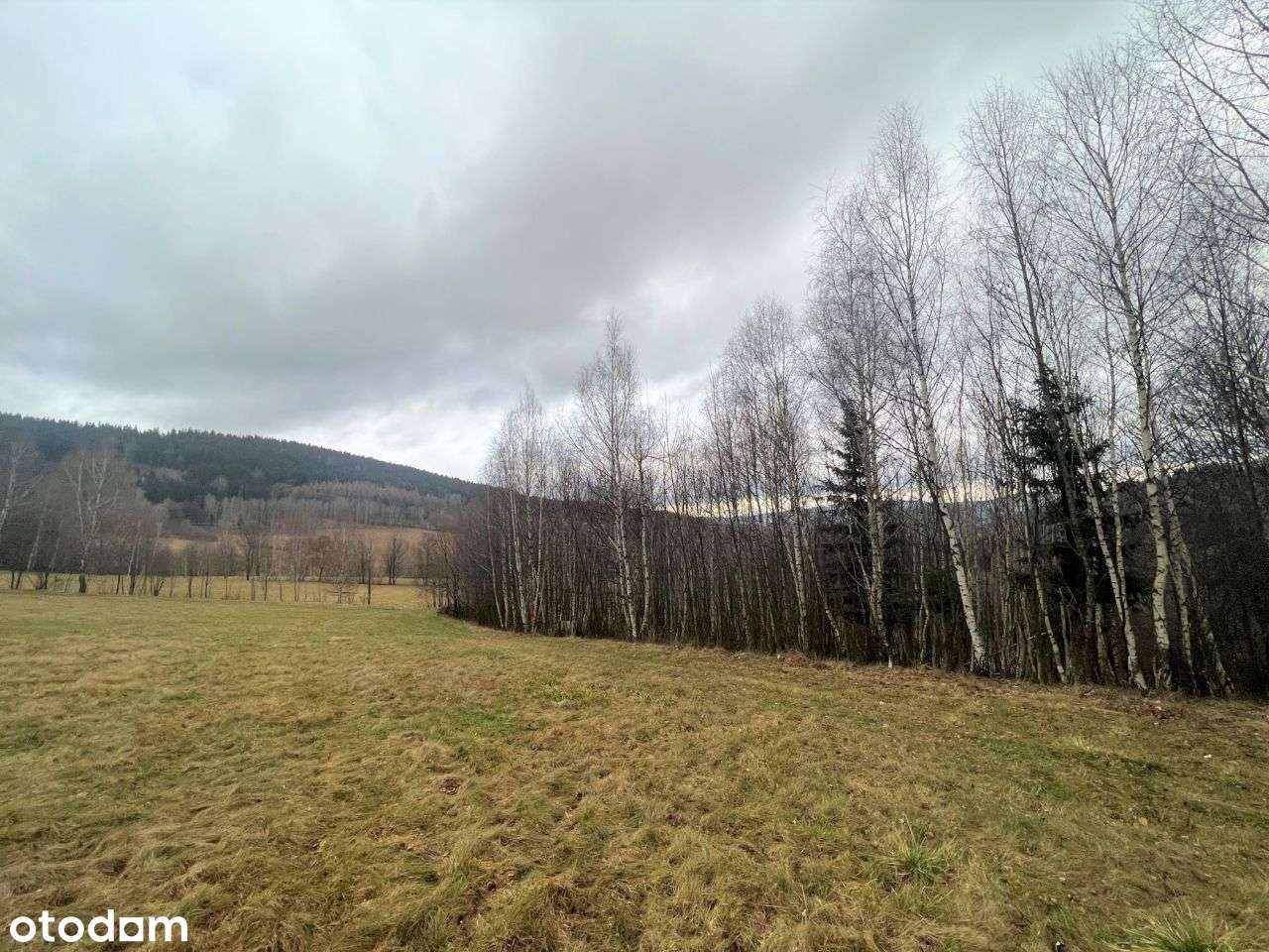 Grunt inwestycyjny MN/T Stronie Śląskie- Wieś - Pełny obrazek: 4/7