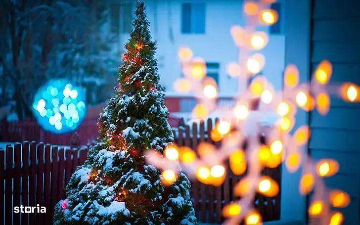 Spatiu cat sa ai Doi Brazi si ZERO Regrete - Imagine principală: 1/7