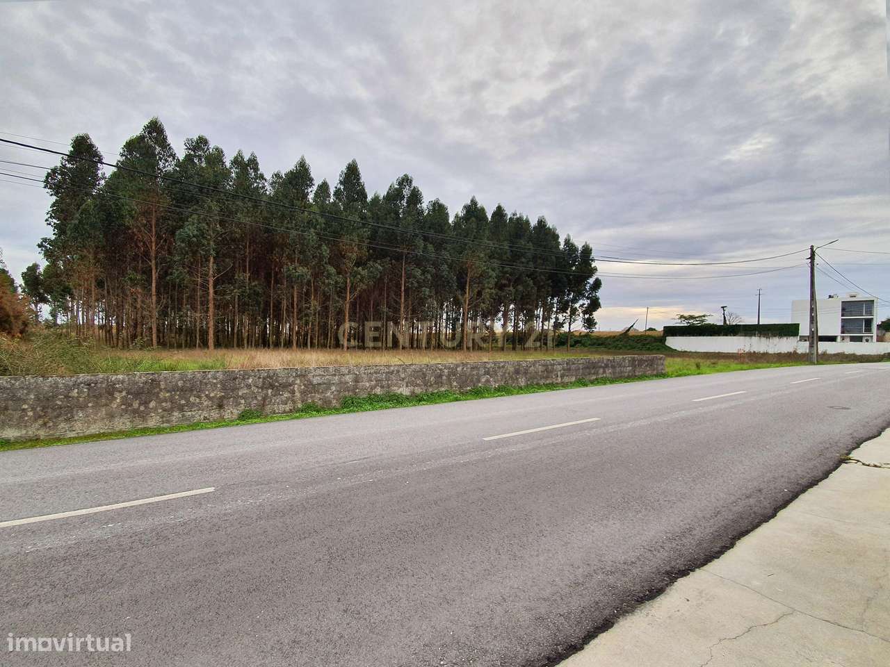 Terreno urbanizável com 20.000m2, entre Aveiro e Ílhavo - Grande imagem: 3/18