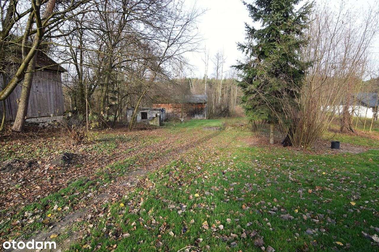 Działka z domem rekreacyjnym 70m2, 10a na uboczu - Pełny obrazek: 5/9