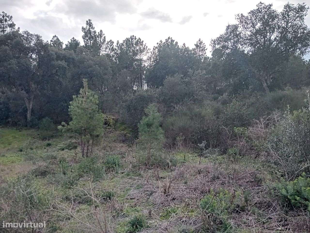 Terreno - Grande imagem: 4/9