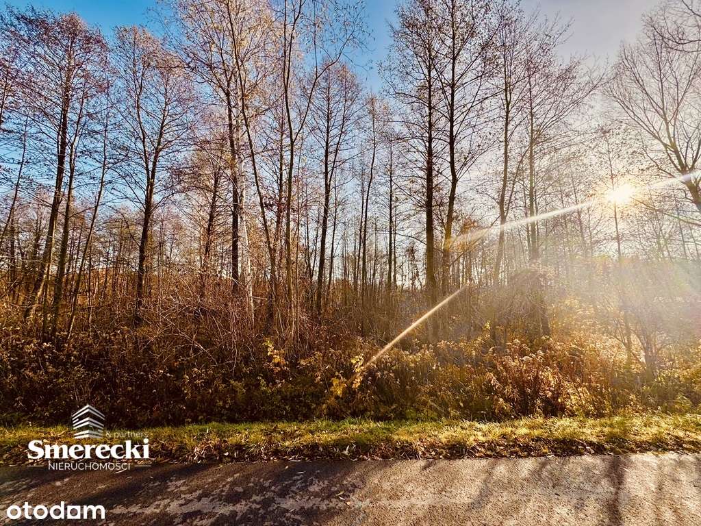 Działka  nad "Zalewem Zahorodyńskim" - Pełny obrazek: 4/7