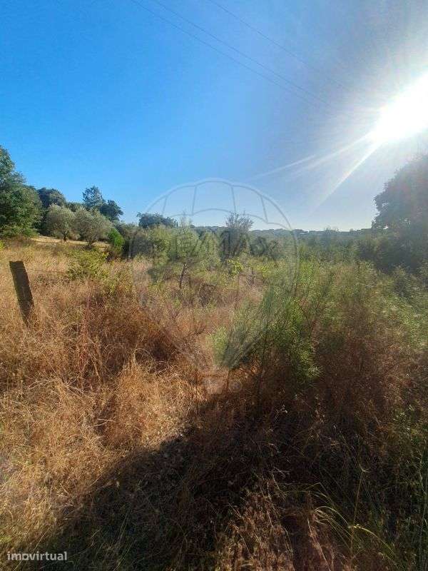 Terreno  para venda - Grande imagem: 4/16