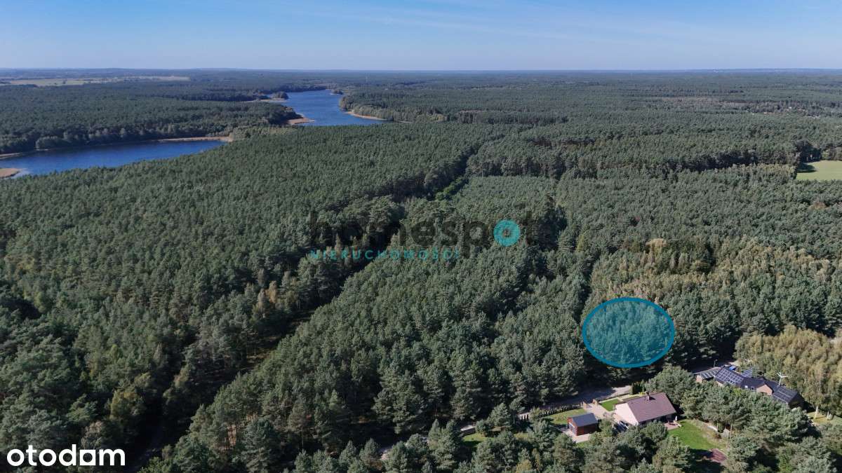 | Działka | Las | Natura | Jezioro | Stęszewko |-5