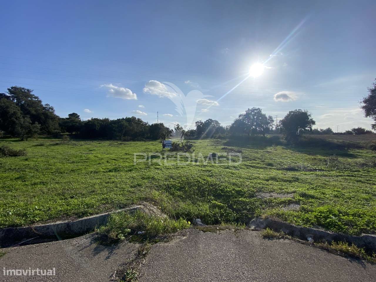 Terreno Rústico com 9.200 m² | Quinta do Anjo - Grande imagem: 2/3