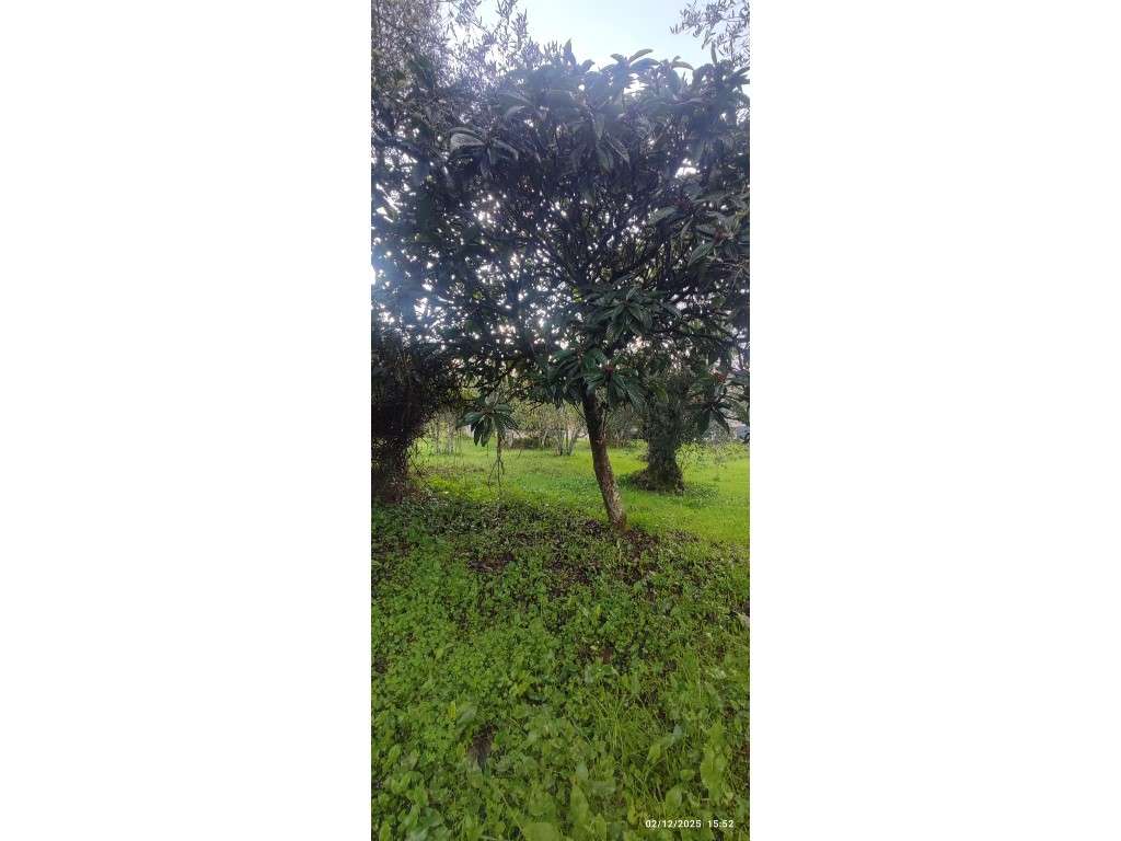 Casa para restauro com 6000m2 de terreno, localização única entre a...-18