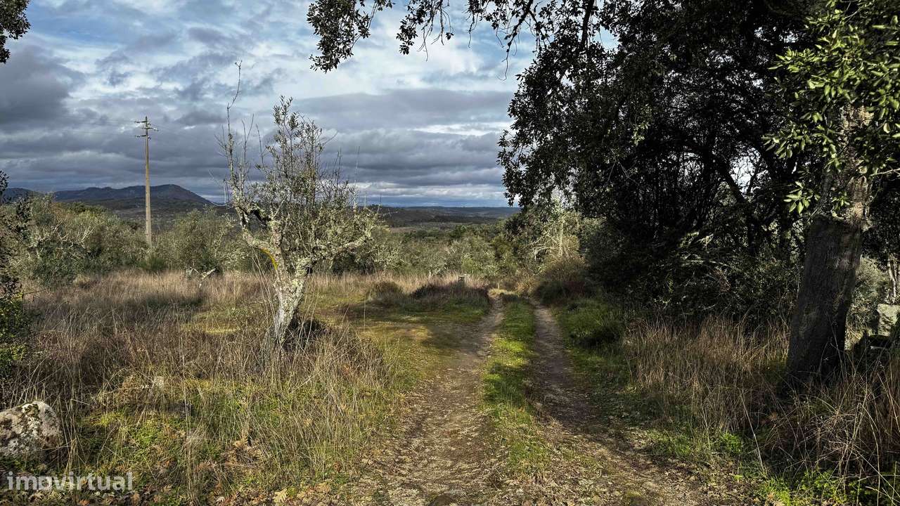 Moradia para Reconstrução com Terreno de 30.125 m² em Nisa - Grande imagem: 5/20