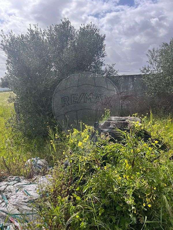 Terreno  para venda - Grande imagem: 3/5