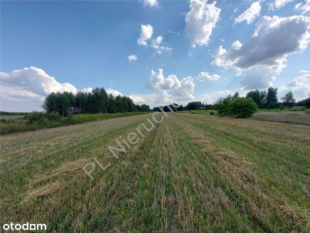 Wymiarowa Działka. Cisza I Spokój.-3