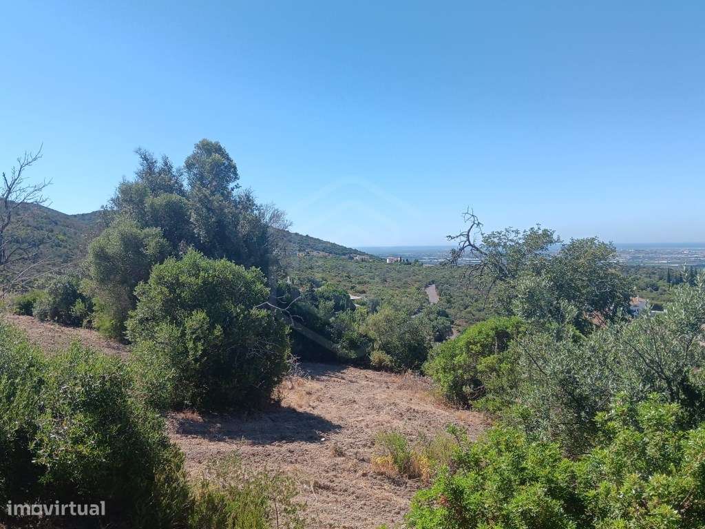 Terreno com ruína, vista mar, Santa Bárbara de Nexe, Faro, Algarve-16