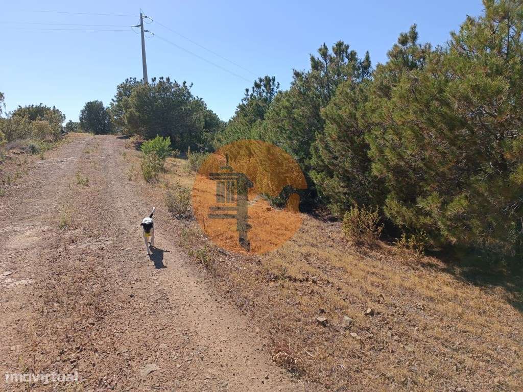 TERRENO COM 33.600 M2 - POSSIBILIDADE DE CONSTRUIR ARMAZEM - PRÓXIM... - Grande imagem: 3/33