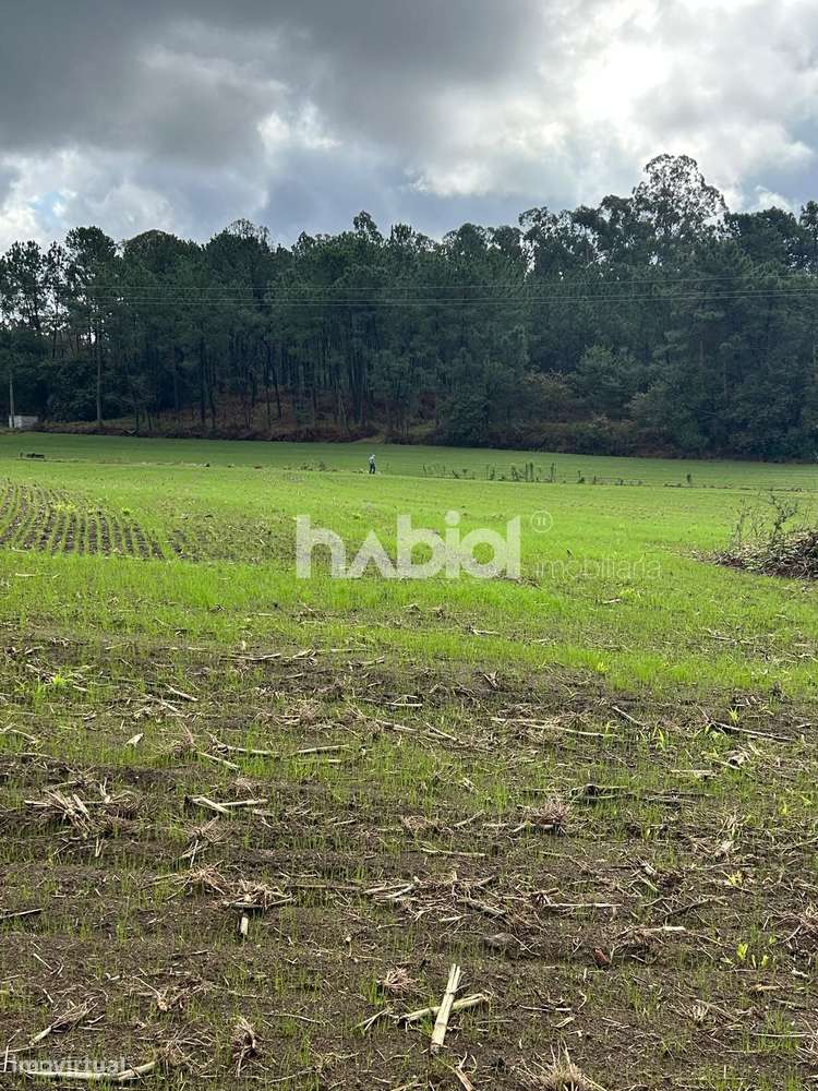 Terreno Rústico para venda em Vila Seca - Grande imagem: 4/4