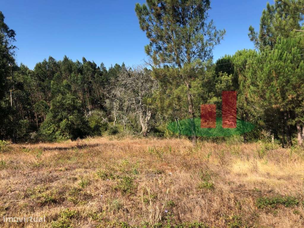 Terreno com Viabilidade de Construção em Asseiceira - Rio Maior***R... - Grande imagem: 4/14