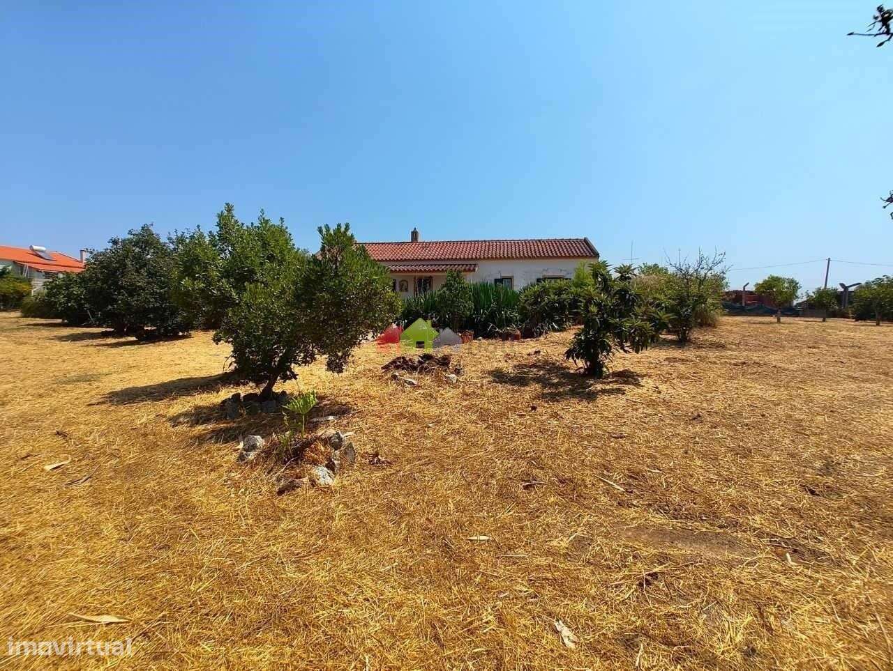 Quinta C/Moradia T2 - Foros de Vale de Figueira-32