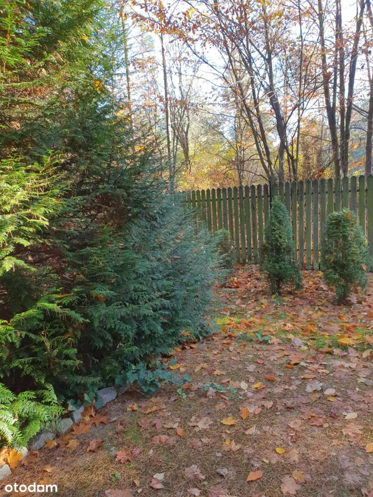 Dom letniskowy na sprzedaż w Siedlątkowie-8