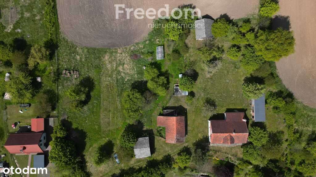 Urokliwe siedlisko z potencjałem – dom z historią! - Pełny obrazek: 4/11