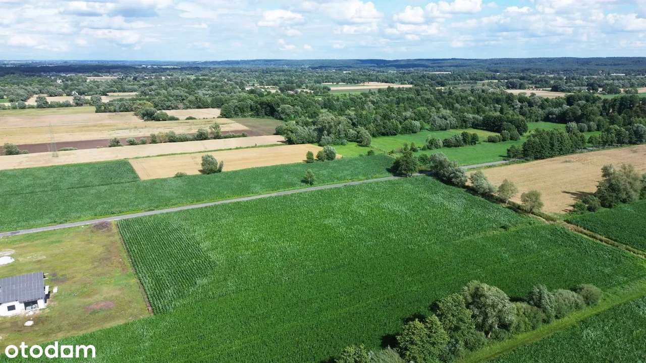 Nowa niższa cena -10% 3 działki z WZ - Pełny obrazek: 5/14