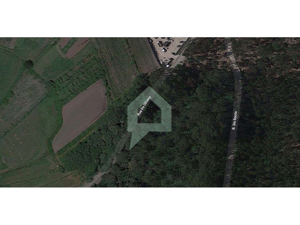 Terreno de 2000m2 para construção de moradia - Grande imagem: 5/7