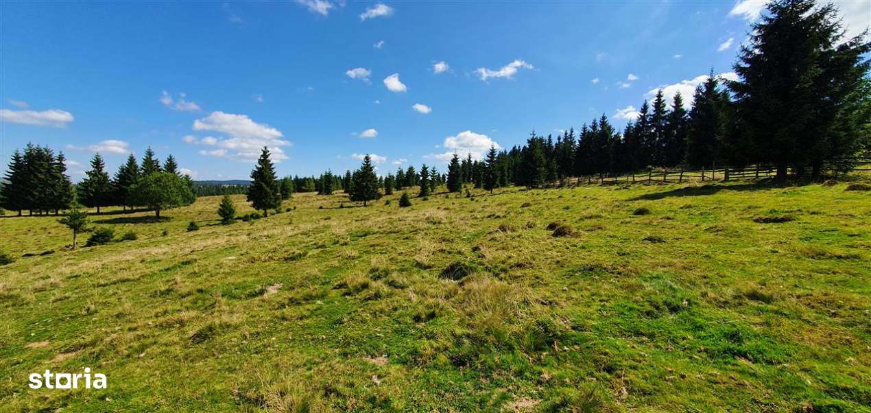 Oportunitare | Teren 1ha cu PUZ | Belis-7