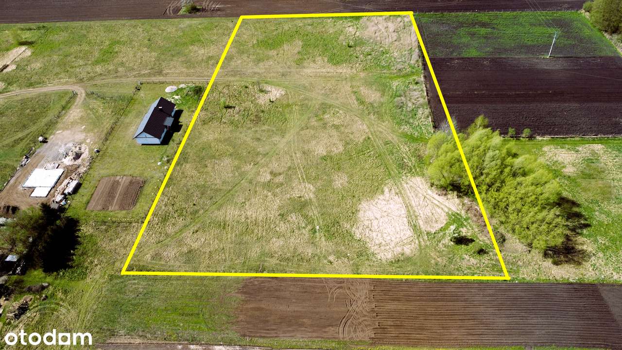 Działka 1,5ha z warunkami zabudowy. - Pełny obrazek: 5/5