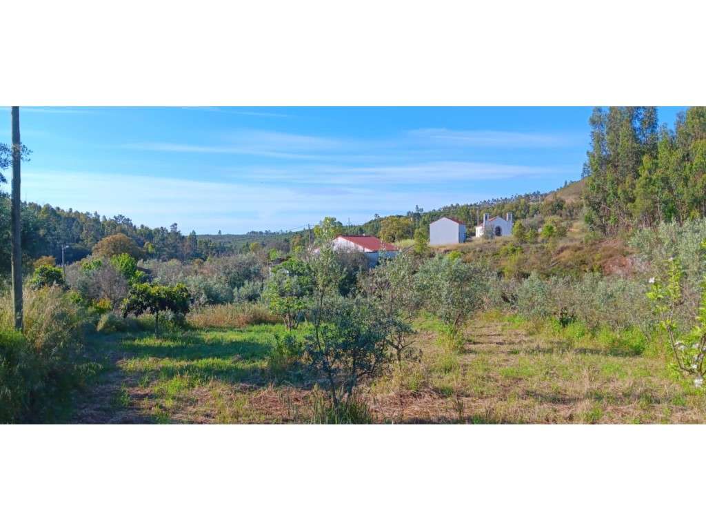 Conjunto de Cinco Imóveis urbanos com Terreno para venda em Caratão...-40