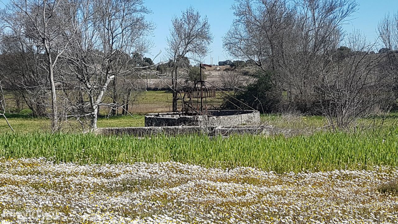 Herdade T0 Venda em Castelo Branco,Castelo Branco