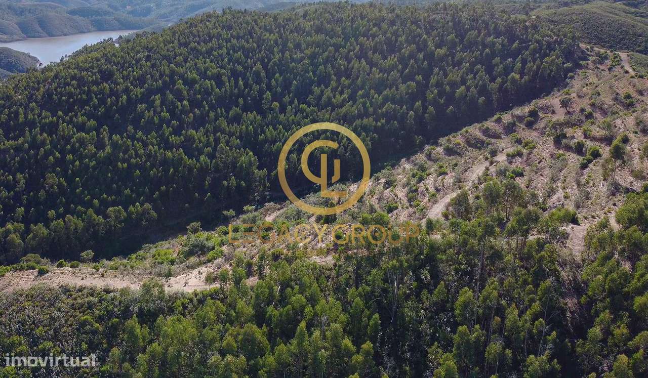 Propriedade de 10 hectares perto da barragem de Odelouca-26