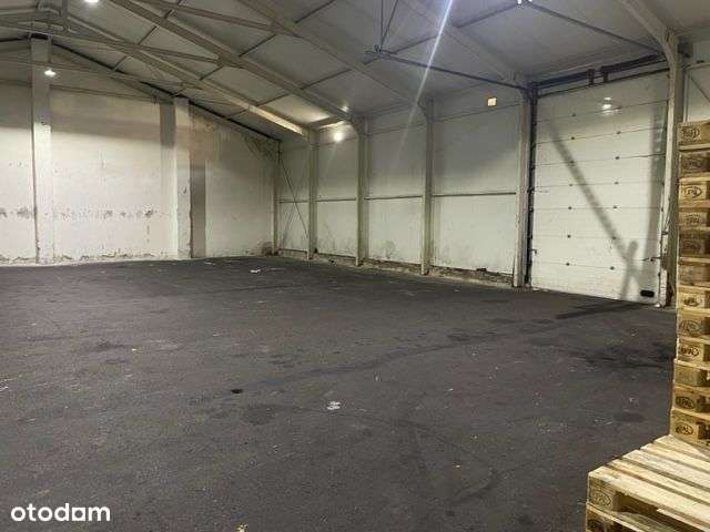 Magazyn 361m ,336m ,510m , plac - Pełny obrazek: 2/5