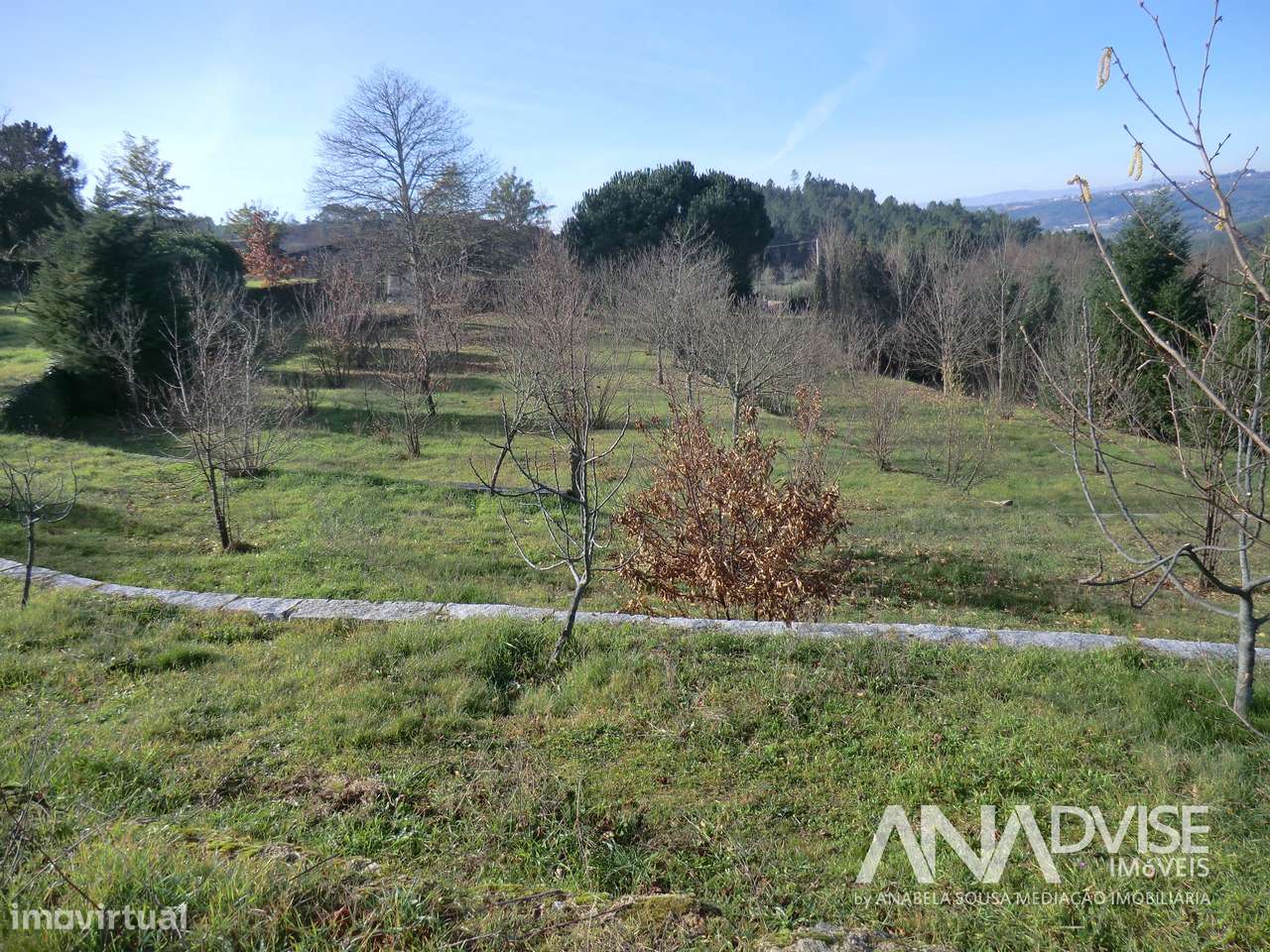 Quinta  Venda em Mangualde, Mesquitela e Cunha Alta,Mangualde - Grande imagem: 4/14