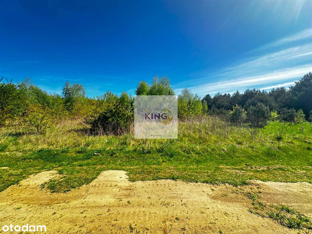 Działka o powierzchni 3000 m² - Pełny obrazek: 5/5