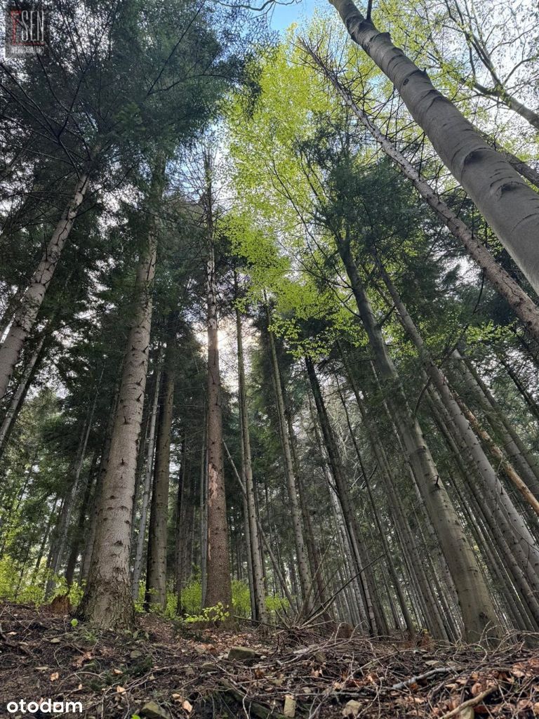 Działka Widokowa W Sąsiedstwie Przejścia Na Wyciąg