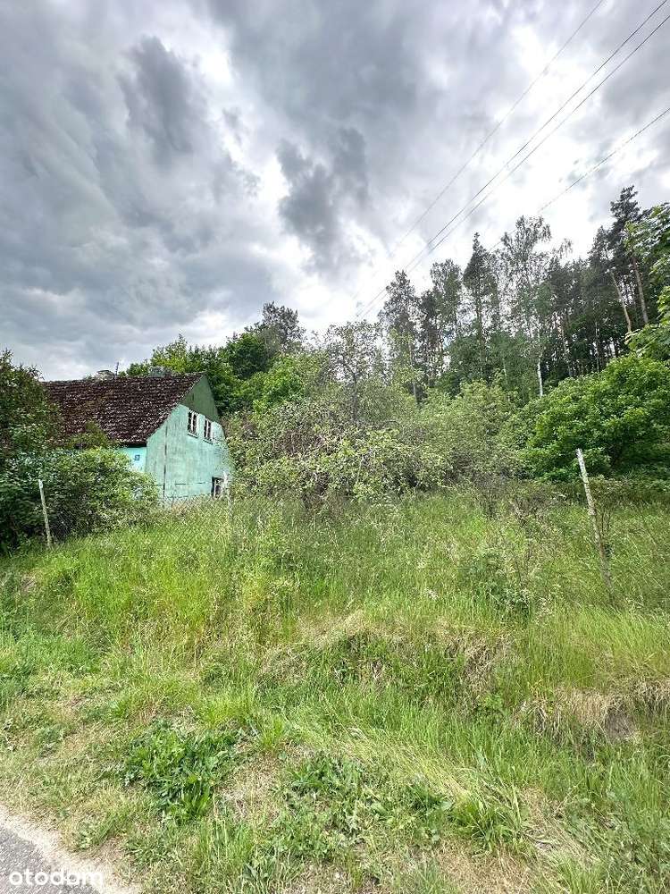 Dom z sadem, duża działka - Radolin! - Pełny obrazek: 4/9