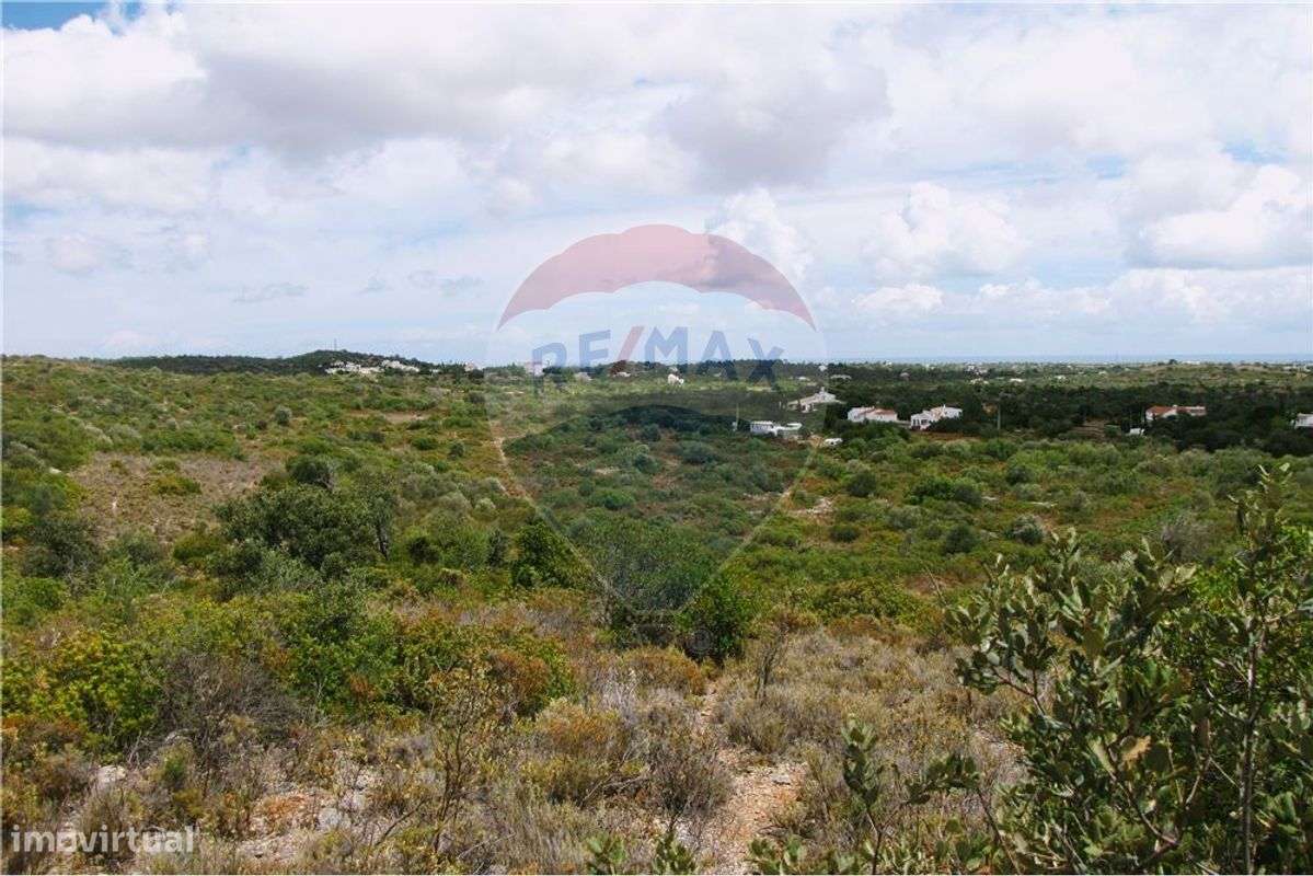 Terreno  para venda - Grande imagem: 3/6